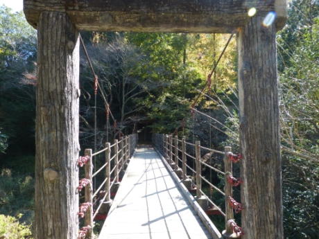 画像51