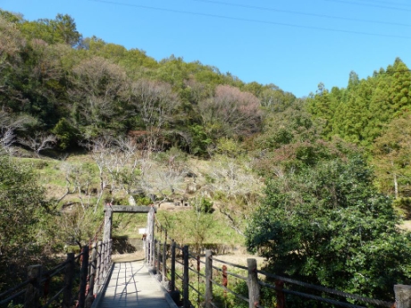 画像53