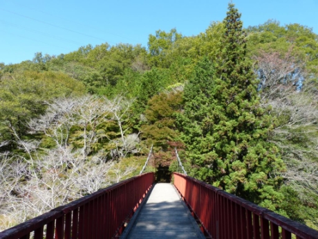 画像55