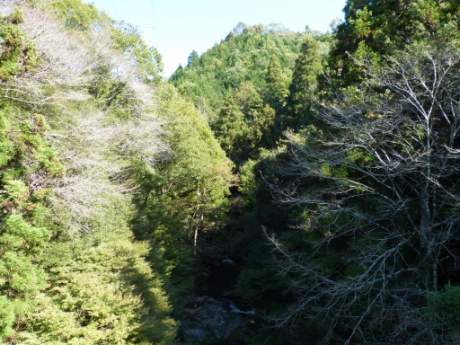 画像56