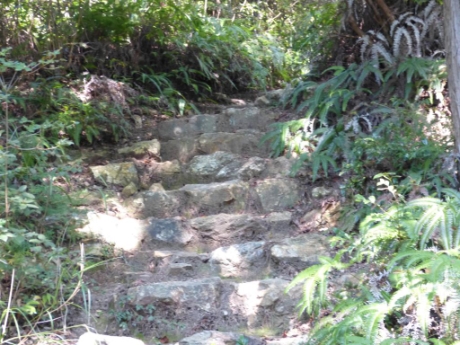 画像11