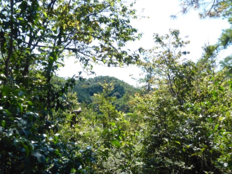 画像18