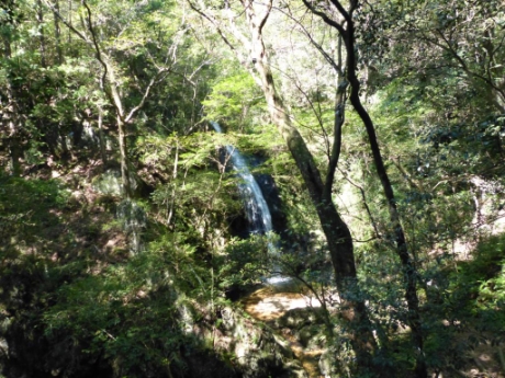 画像19