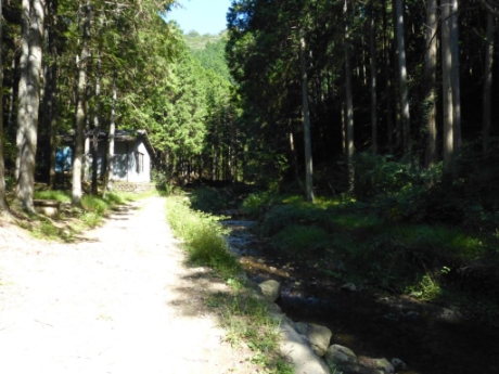 八曽キャンプ場