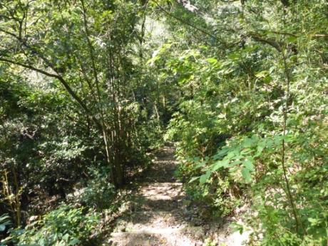 画像53