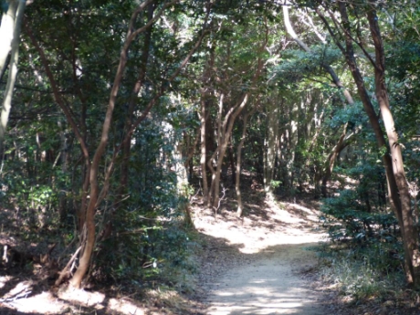 画像5