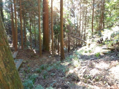 画像14