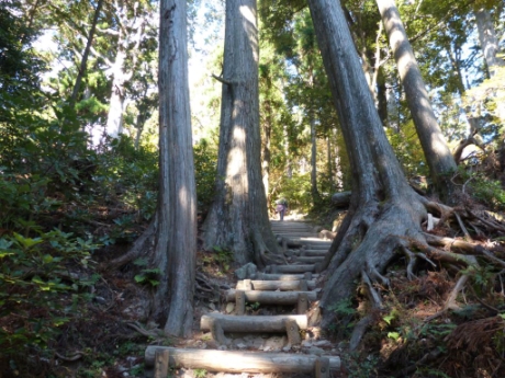 画像19
