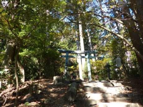 画像20