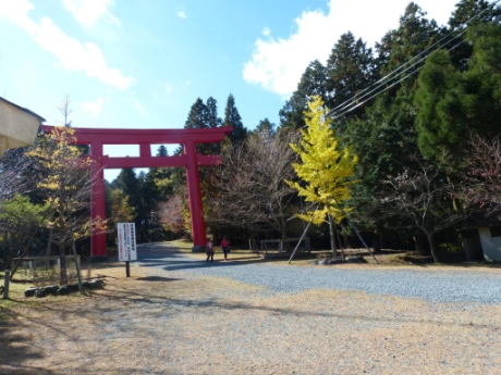 画像26