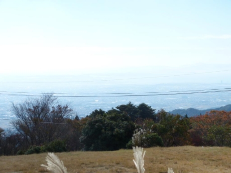 画像29