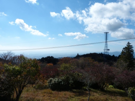 画像31