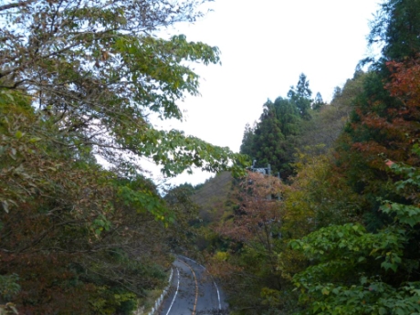 画像33