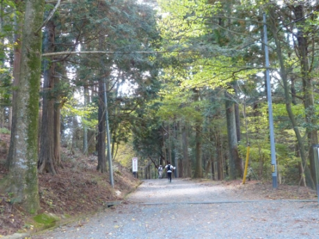 画像34