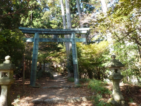 画像42