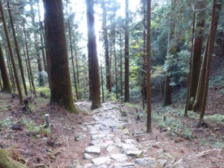 画像44