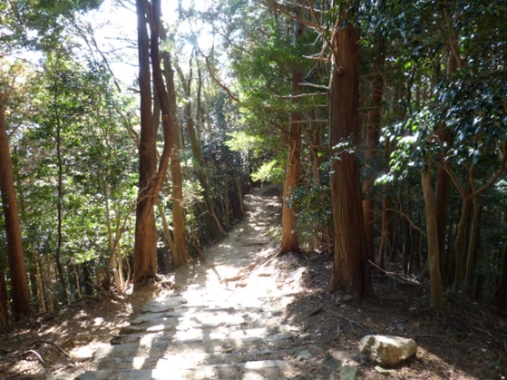 画像47