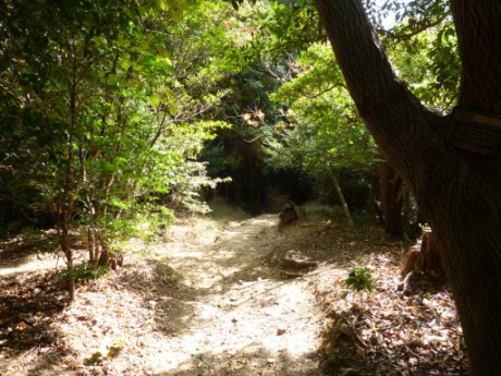 画像51