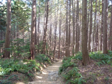 画像52