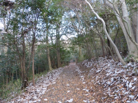画像8