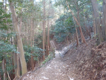 画像9