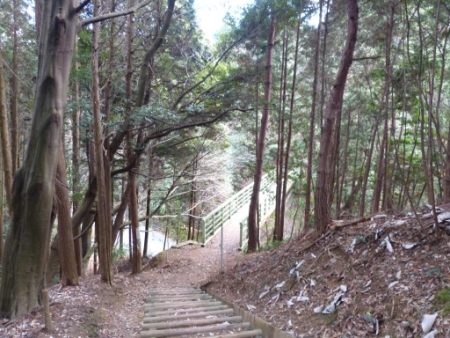 画像11