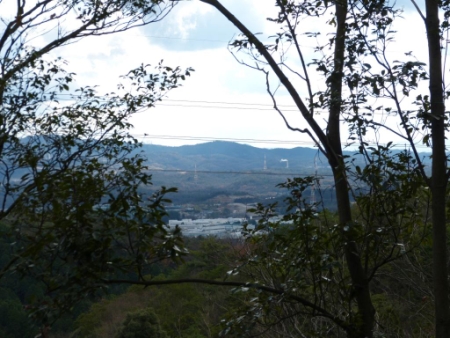 画像15