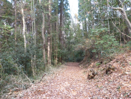 画像22