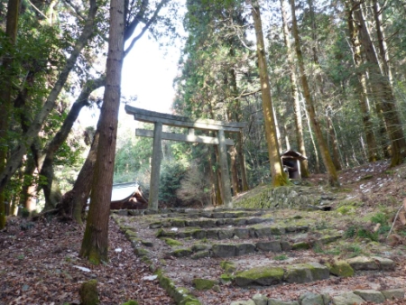 画像24