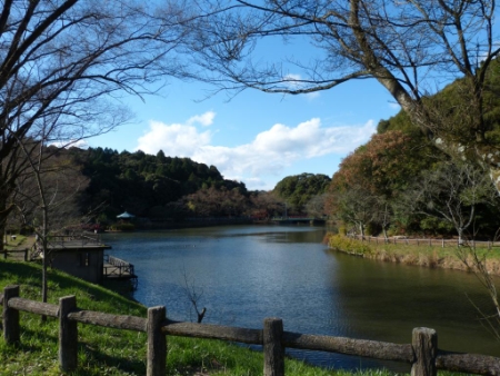 画像28