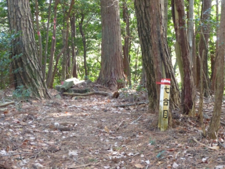 画像9