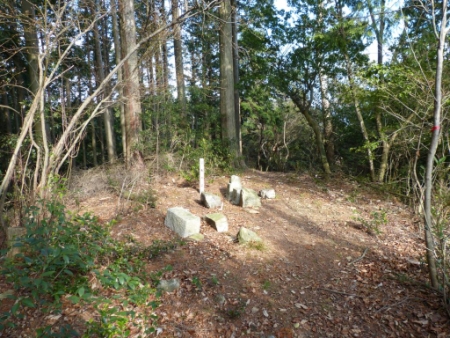 画像12