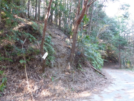 画像15