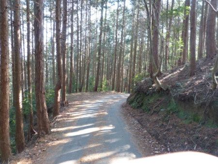 画像16