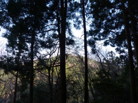 画像22