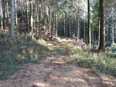 画像25