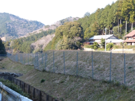画像27