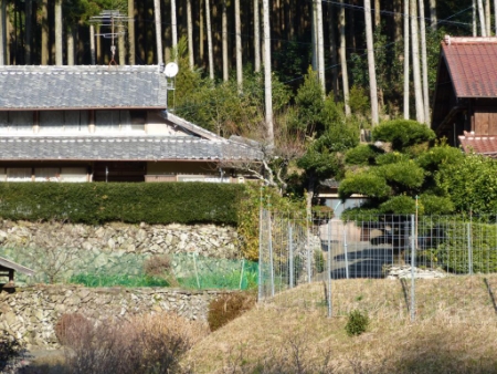 画像28