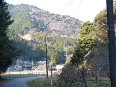 画像29