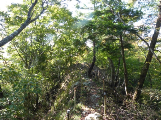 画像19