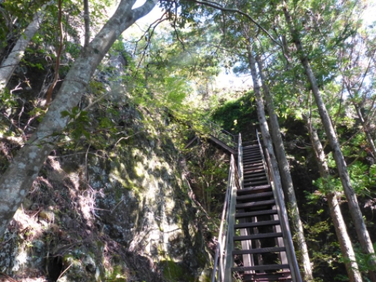 画像18