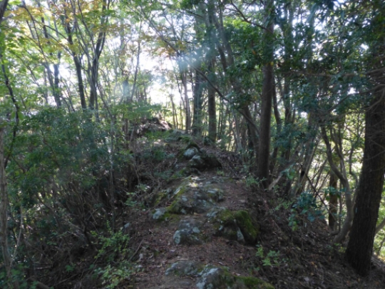 画像20