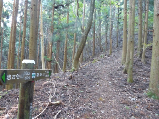 画像22