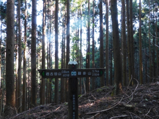 画像21