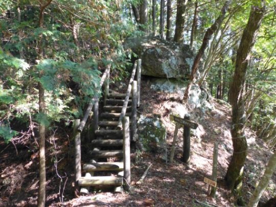 画像25