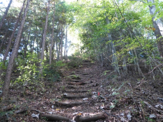画像29
