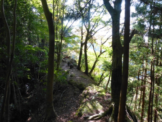 画像35