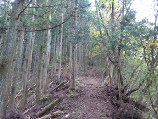 画像39