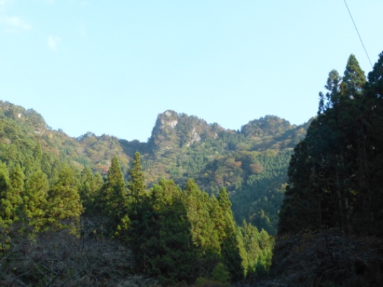 画像46