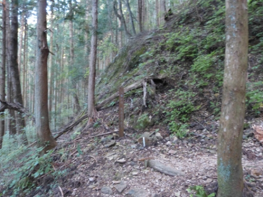 画像6